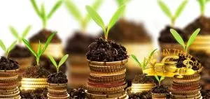 เทรด Forex ยังไง ให้ได้กำไร แบบยั่งยืน What to do To gain sustainable