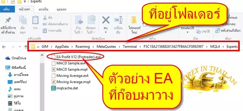 วิธีติดตั้ง EA Forex ลง MetaTrader 4 7 How-to-set-up-EA-on-MT4-exness-broker4