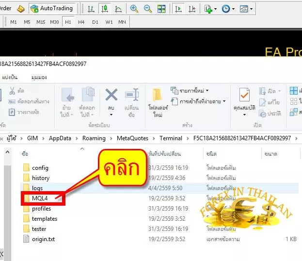 วิธีติดตั้ง EA Forex ลง MetaTrader 4 5 How-to-set-up-EA-on-MT4-exness-broker22