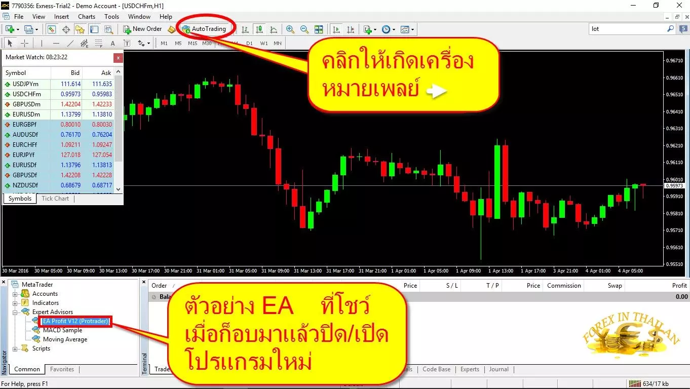 วิธีติดตั้ง EA Forex ลง MetaTrader 4 8 How-to-set-up-EA-on-MT4-exness-broker5