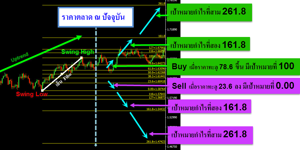 วิธีใช้ และ การตั้งค่า Fibonacci อย่างละเอียด 7 ตัวอย่าง- การลากเส้น-ฟีโบนัชชี-การย้อนกลับ-เพื่อ-การวิเคราะห์-ตลาด-ใน-แนวโน้มขาขึ้น-ตกลง-เพิ่มเติม