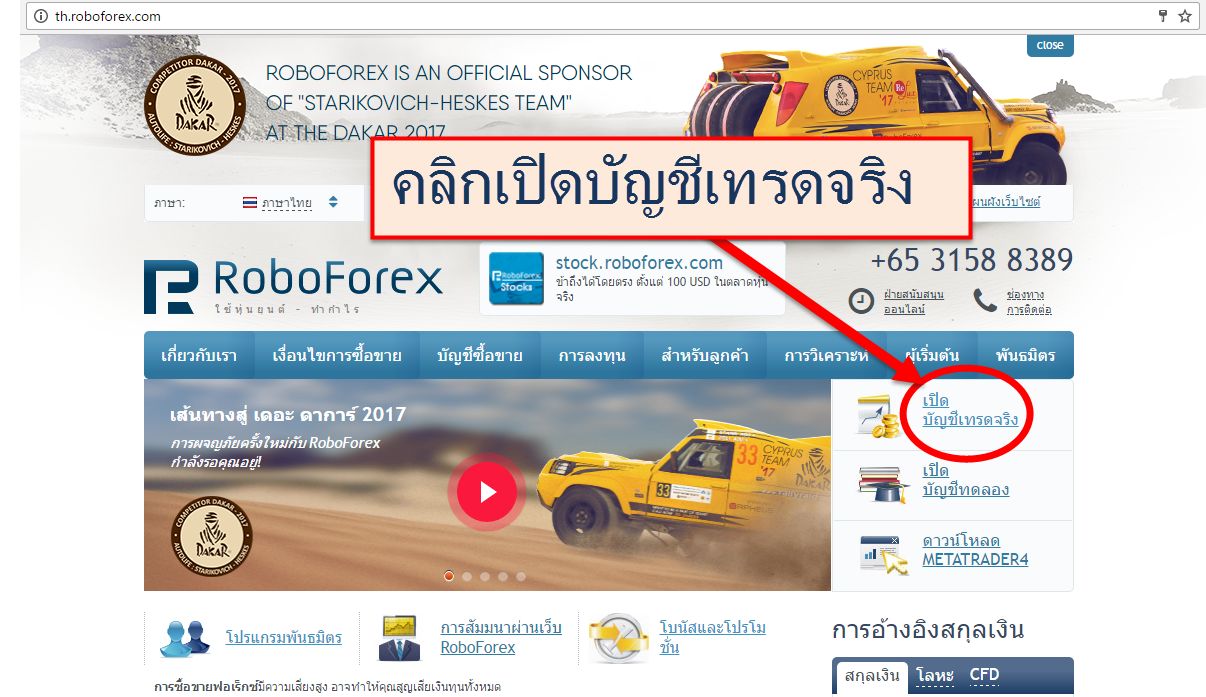 Forex trader in thailand