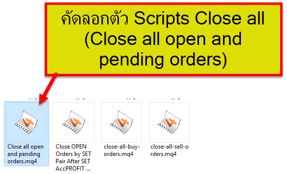 Script close all order forex