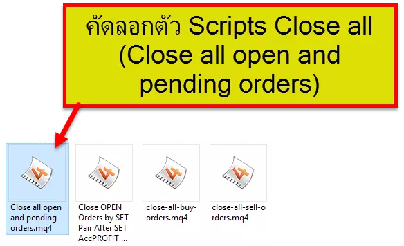 coppy Scripts Close all open and pending orders Forex in thai forex ประเทศไทย forexinthai