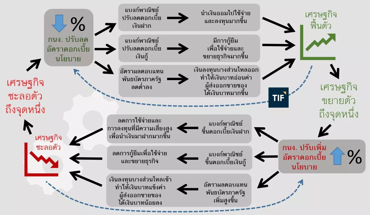 อัตราดอกเบี้ยกับวงจรเศรษฐกิจ 3 Interest rate with economic cycle forex ประเทศไทย forexinthai