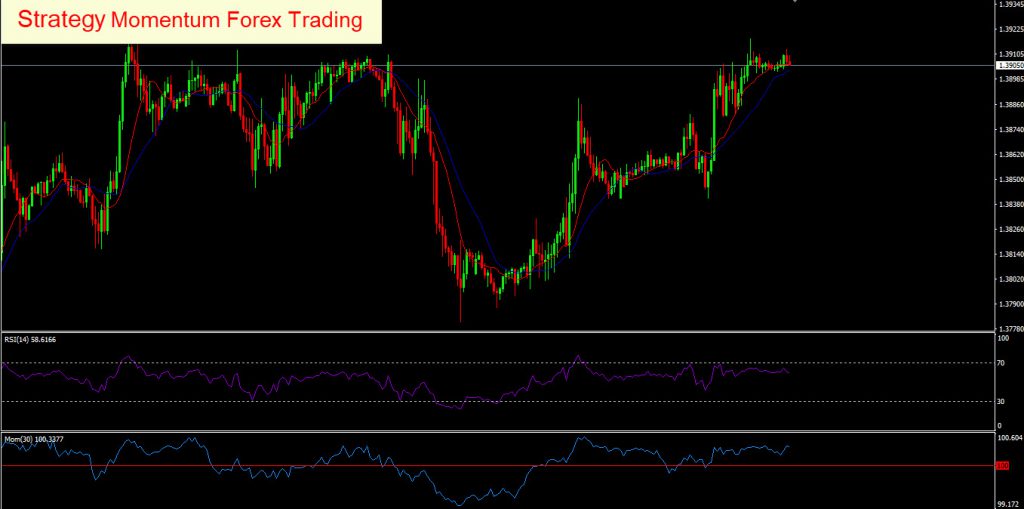 Thailand forex traders
