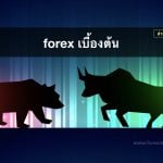 Forex เบื้องต้น และ พื้นฐาน ที่นักเทรดทุกคน ต้องรู้ !