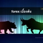 forex beginner