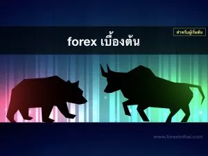 Forex เบื้องต้น และ พื้นฐาน ที่นักเทรดทุกคน ต้องรู้ ! forex beginner