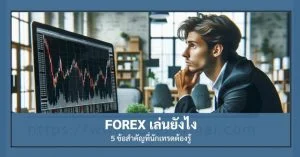 Forex เล่นยังไง ? 5 ข้อสำคัญที่นักเทรดต้องรู้ forex เล่นยังไง 5 ข้อสำคัญที่นักเทรดต้องรู้