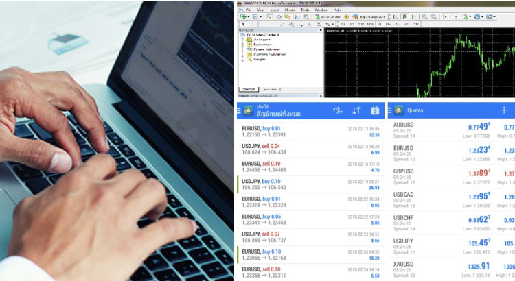 forex เล่นยังไง
