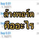 ล้างพอร์ต คืออะไร