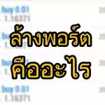 ล้างพอร์ต forex คืออะไร อธิบายให้เข้าใจแบบภาษาชาวบ้าน 4 ล้างพอร์ต คืออะไร