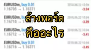 ล้างพอร์ต forex คืออะไร อธิบายให้เข้าใจแบบภาษาชาวบ้าน ล้างพอร์ต คืออะไร