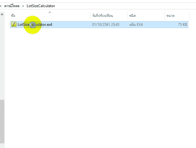 LotSize Copy forex ประเทศไทย forexinthai