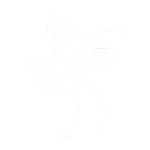 เกี่ยวกับเรา 6 forexinthai logo profile white