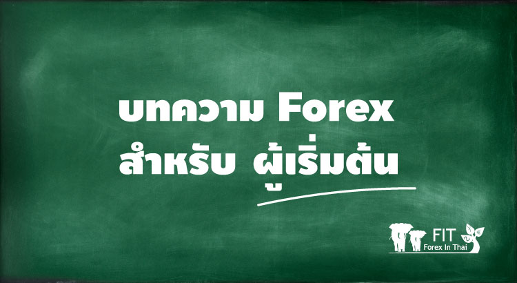 บทความ forex สำหรับผู้เริ่มต้น forex begin