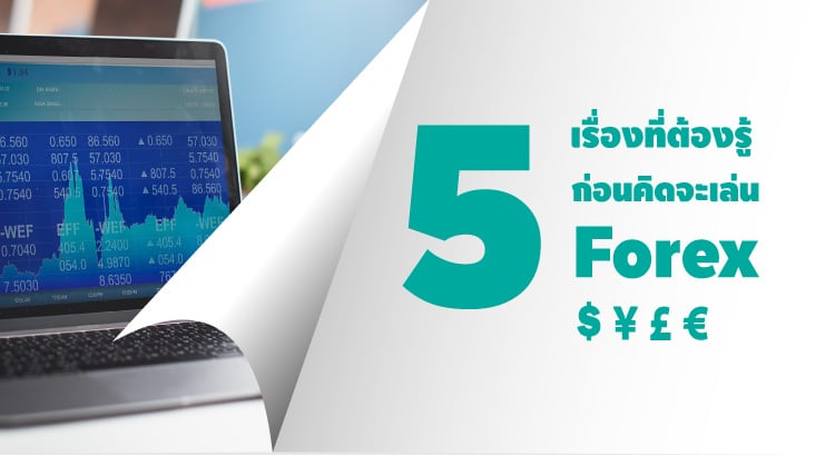 เล่น forex