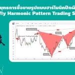 butterfly harmonic pattern 11