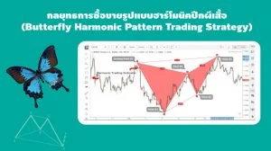 Harmonic Pattern คืออะไร? เรียนรู้เคล็ดลับการวิเคราะห์แบบมืออาชีพ butterfly harmonic pattern 11