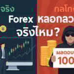 forex หลอกลวงจริงไหม 1