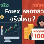 forex หลอกลวงจริงไหม 1