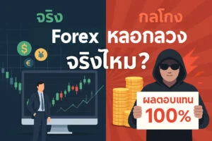 Forex หลอกลวงจริงไหม? ไขข้อสงสัย พร้อมวิธีป้องกันตัวก่อนตกเป็นเหยื่อ forex หลอกลวงจริงไหม 1